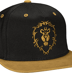 world of warcraft hat