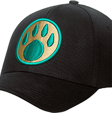 World of Warcraft Hat